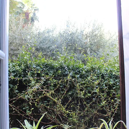 Casa Bonita - Summer In