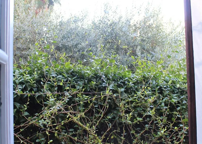 Casa Bonita - Summer In